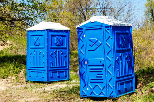 Two Blue Cabines Of Chemical Toilets In a Park at sunny Summer Day.
